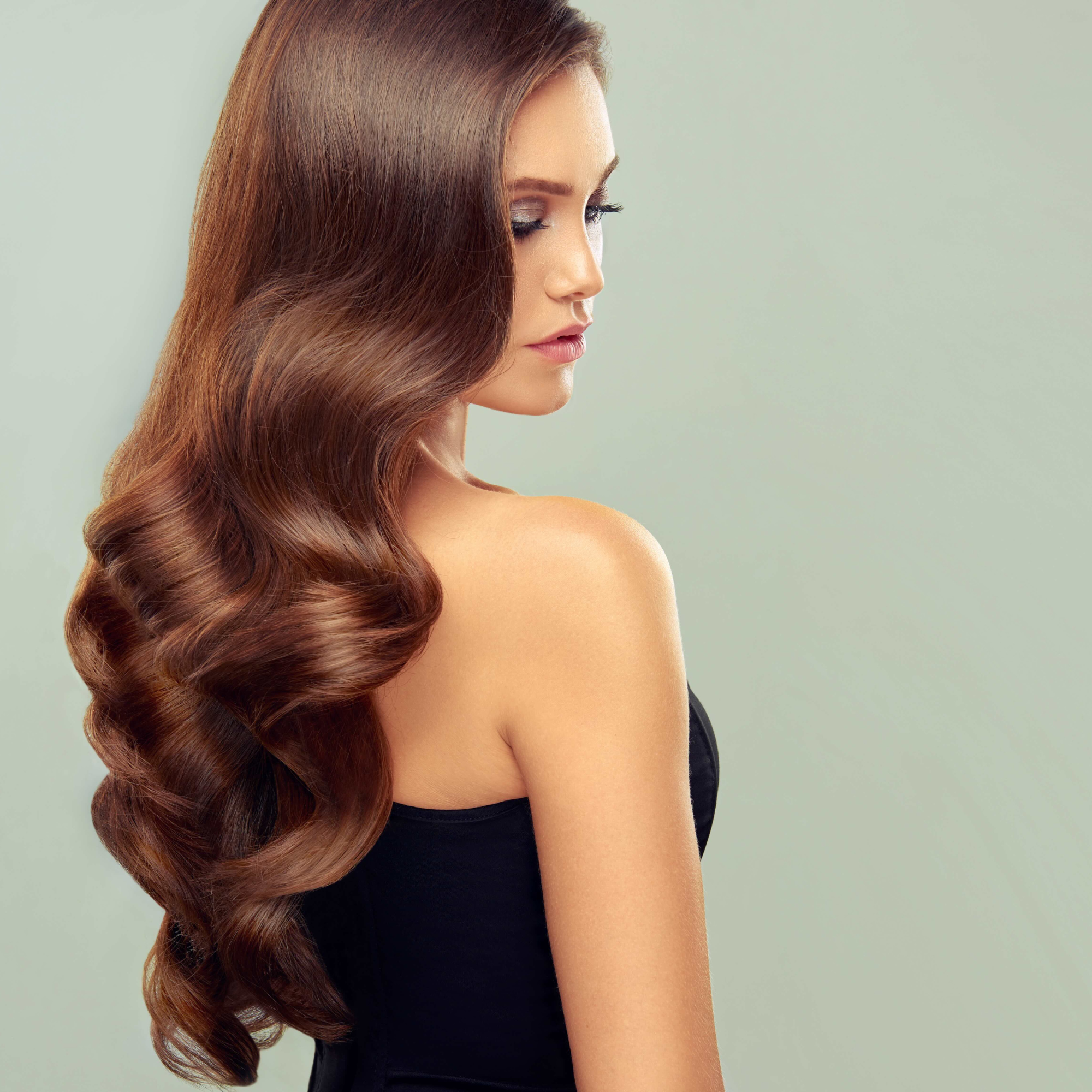 Duchess Elegant Clip-in Hair Extensions 20" Colour 6 Warm Brown - Maneology Hair Extensions